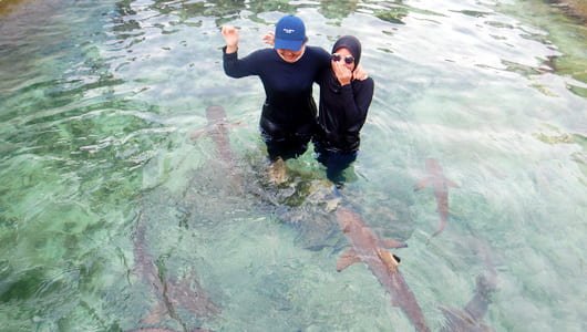 Open Trip Karimunjawa Keberangkatan dari Semarang ke penangkaran hiu