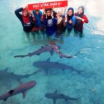 Paket Tour Karimunjawa Hotel Mirabelle 2H1M Kapal Express Bahari PP