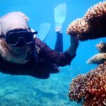 Paket Tour Karimunjawa Hotel Mirabelle 3H2M Kapal Express Bahari PP