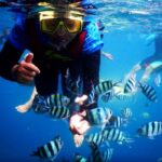 Paket Tour Karimunjawa Hotel Mirabelle 3H2M via Kapal Mixed