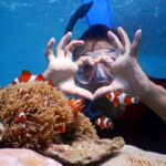 Paket Tour Karimunjawa Hotel Mirabelle 4H3M Kapal Feri Siginjai PP