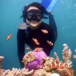 Paket Tour Karimunjawa Hotel d'Season 2H1M Kapal Feri Siginjai PP