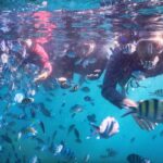 Paket Wisata Karimunjawa Homestay AC 4H3M Kapal Express Bahari PP