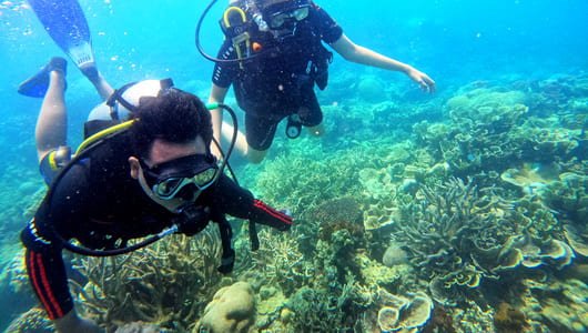 Destinasi Tempat Diving Karimunjawa
