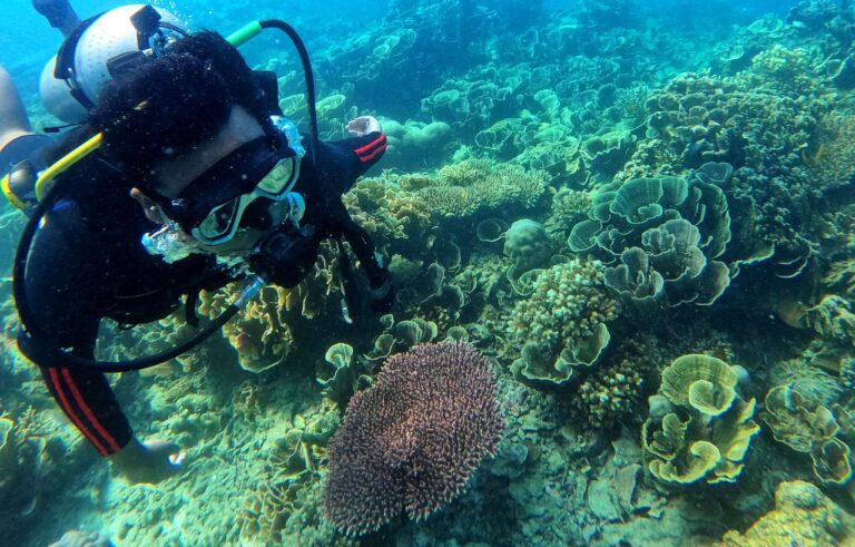 Diving Karimunjawa