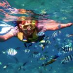 Paket Tour Karimunjawa Hallo Sustainable 2H1M Express Bahari PP