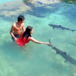 Paket Tour Karimunjawa Hallo Sustainable 4H3M Feri Siginjai PP