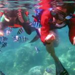 Paket Tour Karimunjawa Happinezz Hills 2H1M Express Bahari PP