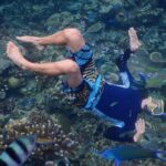 Paket Tour Karimunjawa Hotel d'Season 4H3M Kapal Feri Siginjai PP