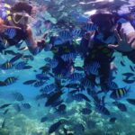 Paket Tour Karimunjawa Hotel d’Season 4H3M via Kapal Mixed