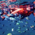 Paket Tour Karimunjawa Java Paradise 2H1M Kapal Mixed