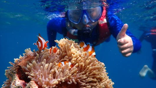 Tour Satu Hari di Karimunjawa Keberangkatan dan Island Hopping