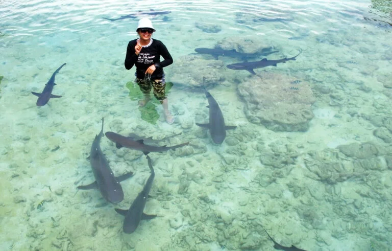Liburan ke Karimunjawa Sendirian (Solo Trip)