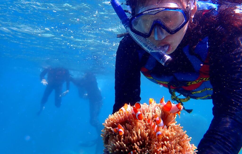 paket wisata karimunjawa 2 hari 1 malam