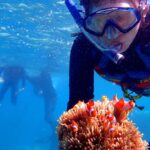 paket wisata karimunjawa 2 hari 1 malam