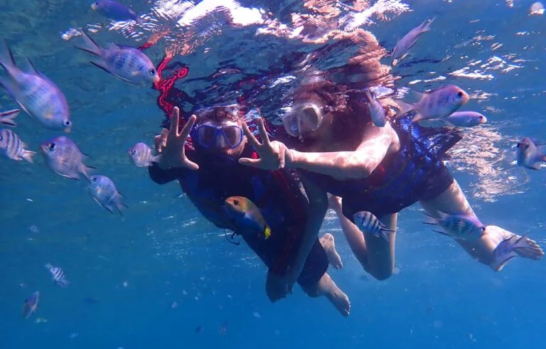 Paket Wisata Karimunjawa dari Semarang 2 Hari 1 Malam Murah
