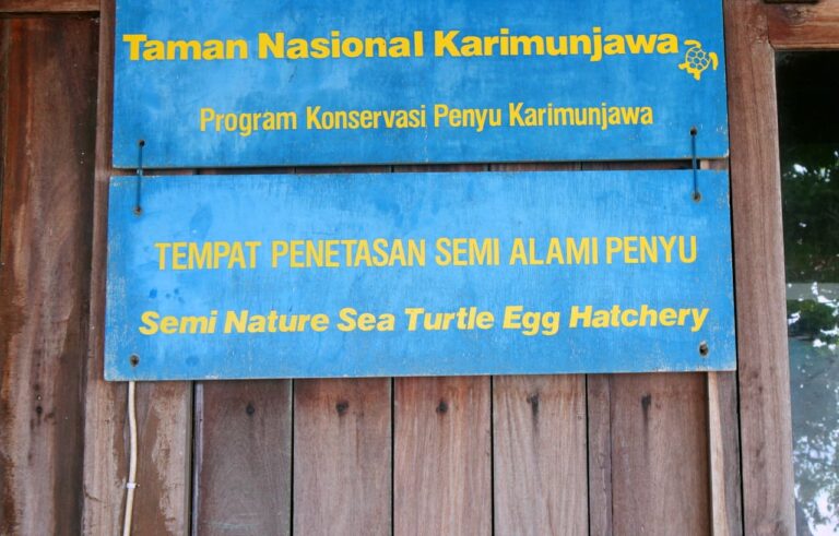 Balai Taman Nasional Karimunjawa Penyu