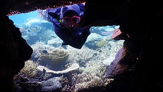 Biaya HTM Ekosistem Bawah Laut Wisata Karimunjawa
