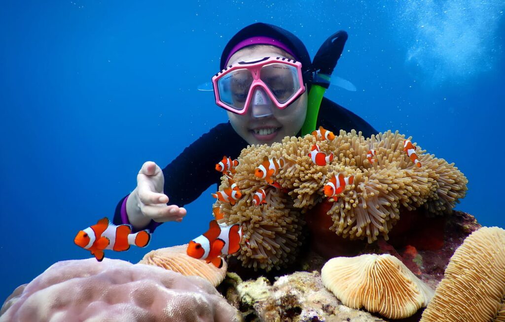 Biaya Wisata Karimunjawa