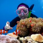 Biaya Wisata Karimunjawa