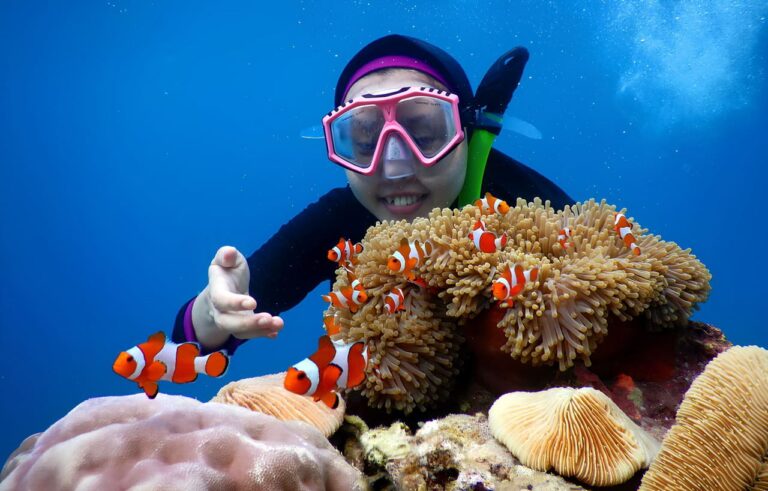 Biaya Wisata Karimunjawa