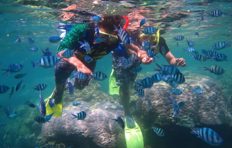 Karimunjawa Tour Travel