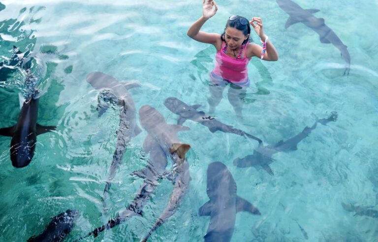 Paket Wisata Karimunjawa Dari Jakarta Open Trip dan Private Trip