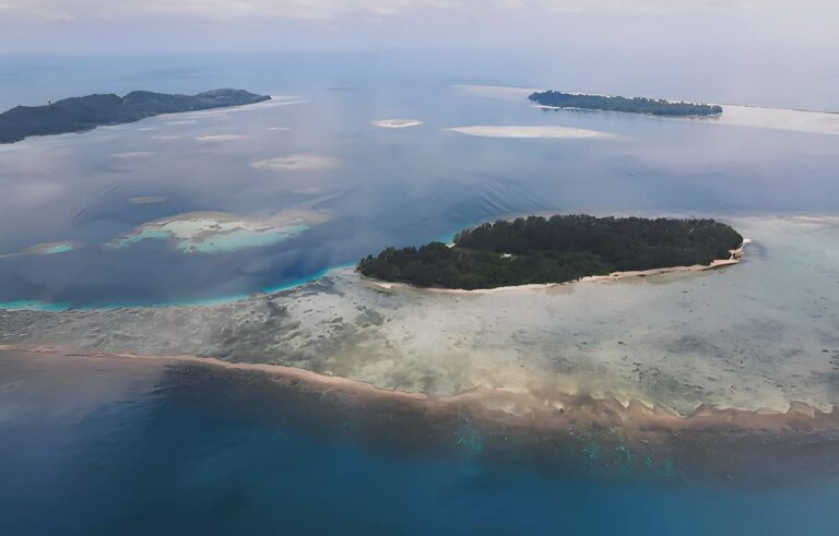 Pulau Sambangan Karimunjawa Surganya Terumbu Karang