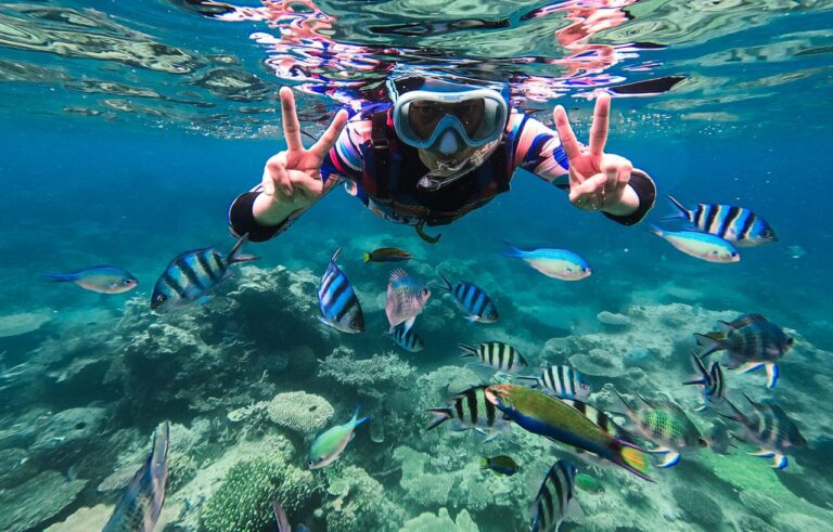 Tour Snorkeling Karimunjawa