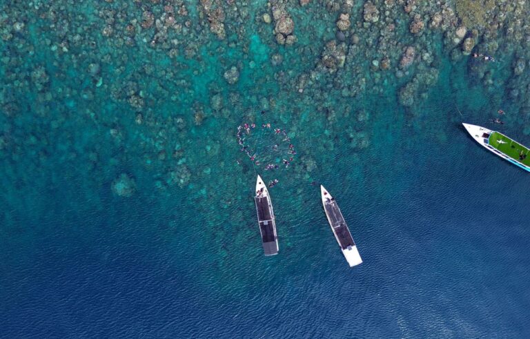 Spot Snorkeling Terbaik di Pulau Karimunjawa