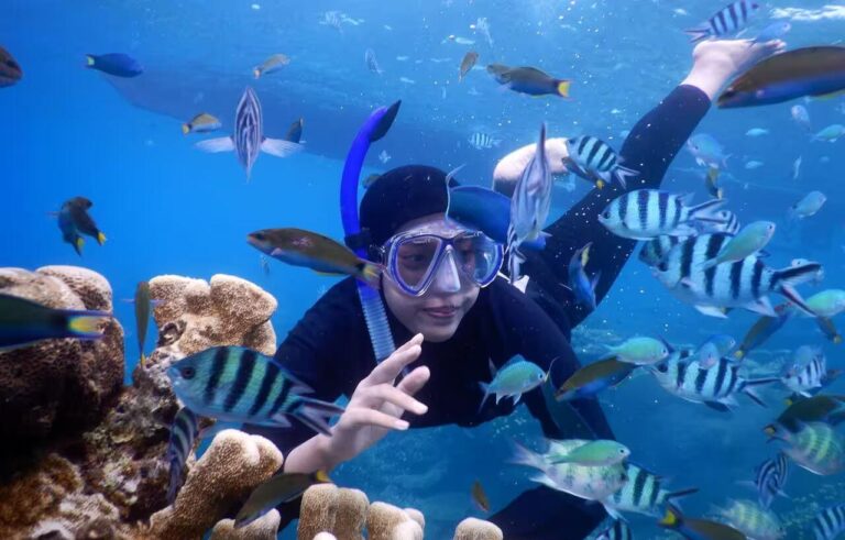 Paket Private Trip Karimunjawa