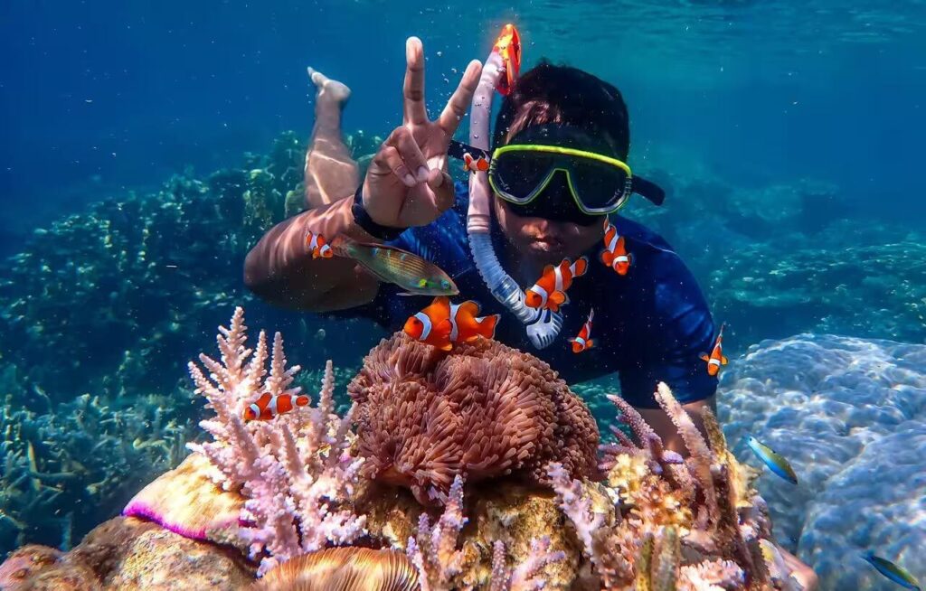 Paket wisata karimunjawa 1 hari